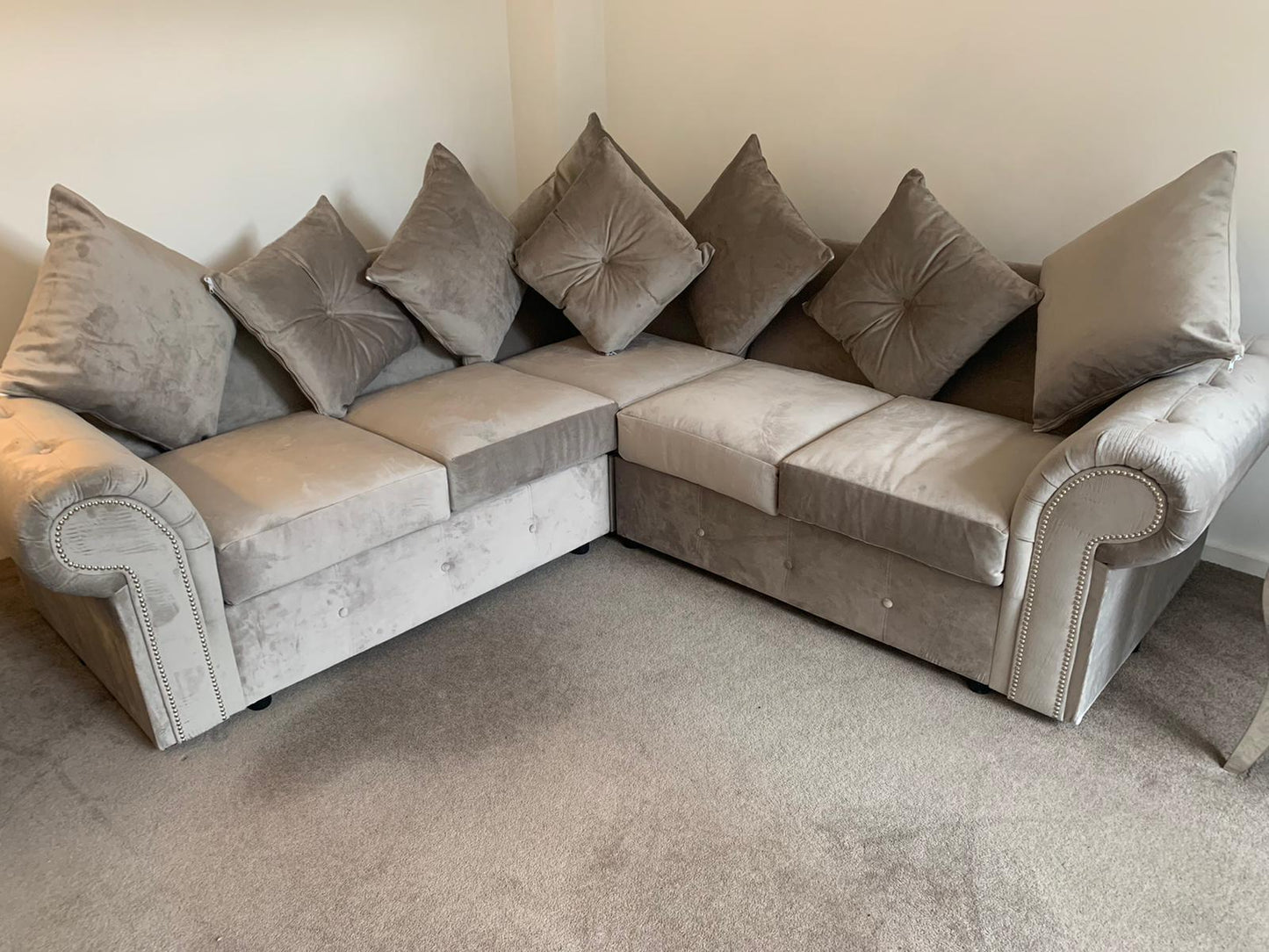 Olympia Corner - Grey Scatterback
